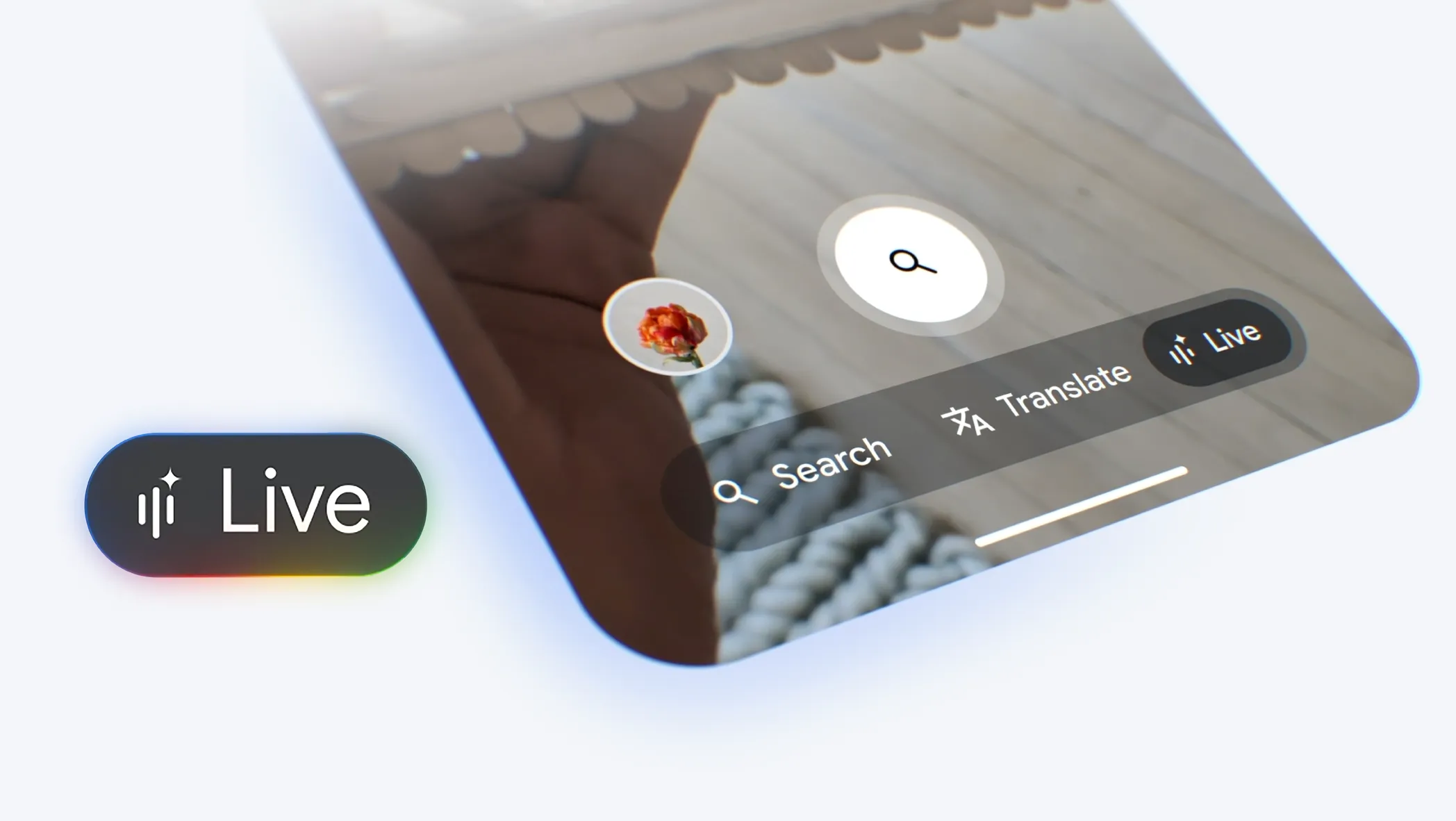 search live google update